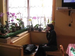 CembraMG_3437